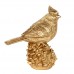 Gouden Vogel op grote denneknop